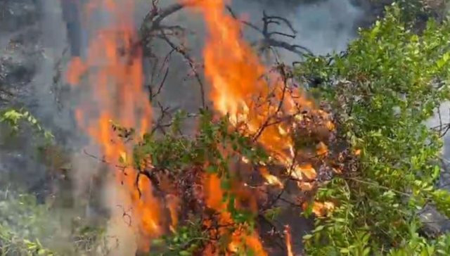 Situatë alarmante me zjarret, Drenova dhe Lura nën flakë, dyfishohet numri vatrave aktive