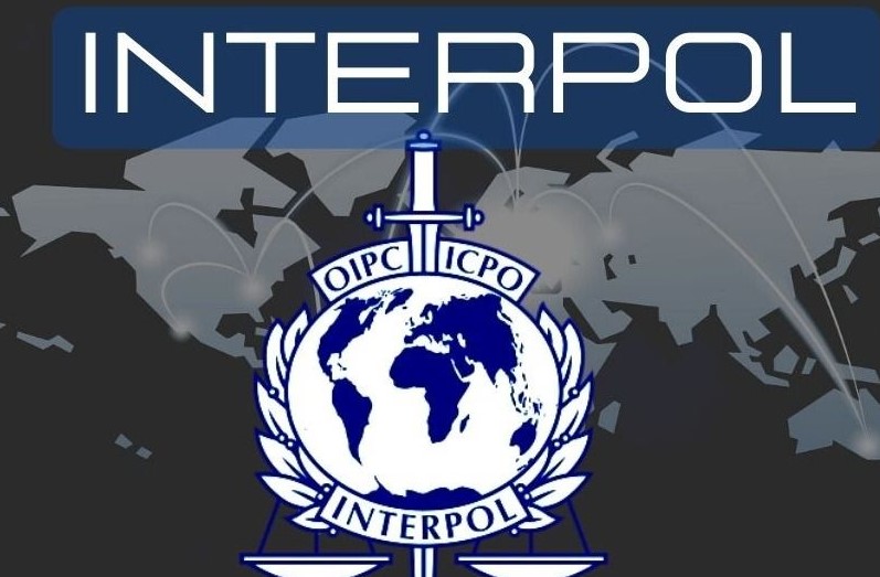 SPAK akuzë për trafikimin e 1 ton kanabis/Pranga shqiptarit,pjesë e një organizate..