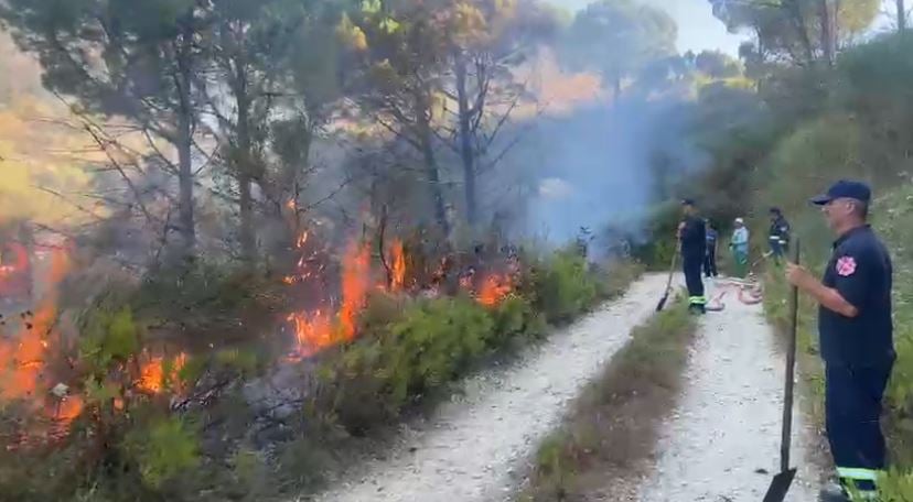 Ushtria i bashkohet operacionit për shuarjen e flakëve në Belishovë të Mallakastrës