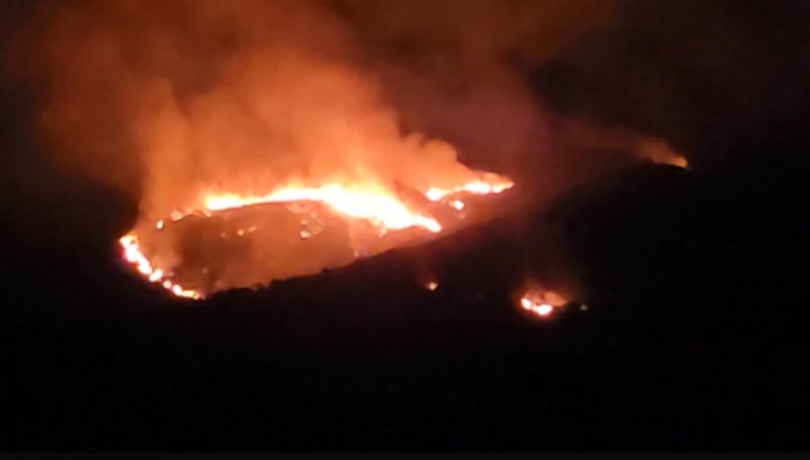 Vatër zjarri në Shijak/ Era përhap flakët drejt fshatit Kënetë, eliminohet rreziku për banorët e Shetelit