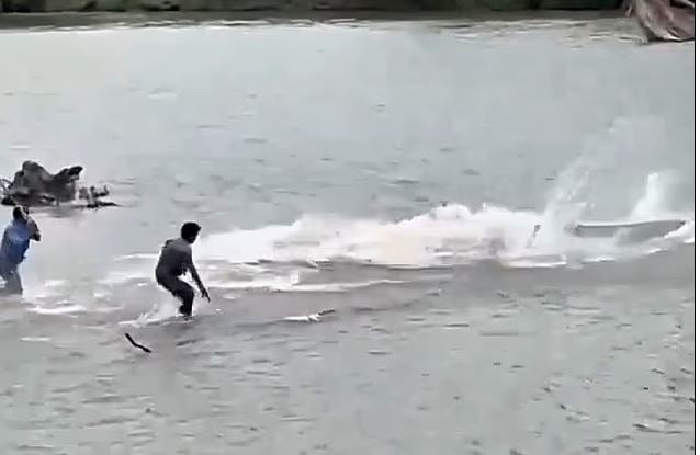 Vdekje e tmerrshme për 80-vjeçarin në Indonezi, tërhiqet nga krokodili teksa po lahej në lumë