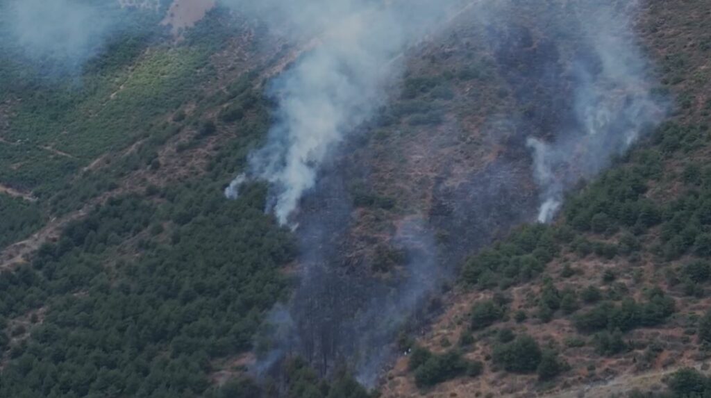 VIDEO/ Përfshihet nga flakët masivi pyjor në Pogradec