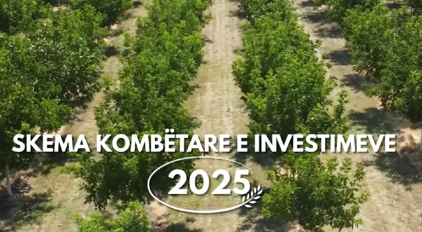 VIDEO/ Skema e investimeve, ministrja Denaj: Në dispozicon 20 milionë euro, 9 masa mbështetëse deri në 30 shtator