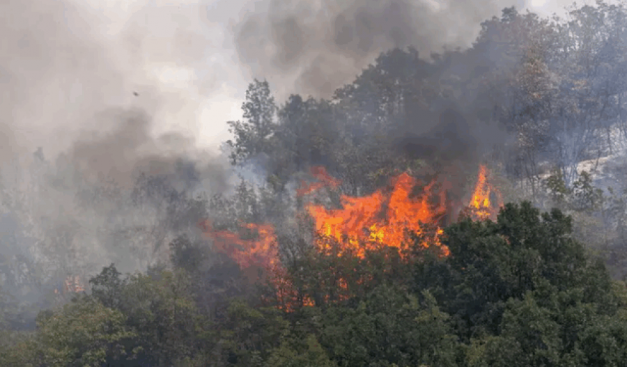 VIDEO/ Zjarret në Delvinë jashtë kontrollit, kërkohet evakuim i menjëhershëm i tre fshatrave