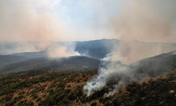 VIDEO / Zjarret në Dibër e Vlorë, BE aktivizon flotën ajrore: Gati për më shumë mbështetje