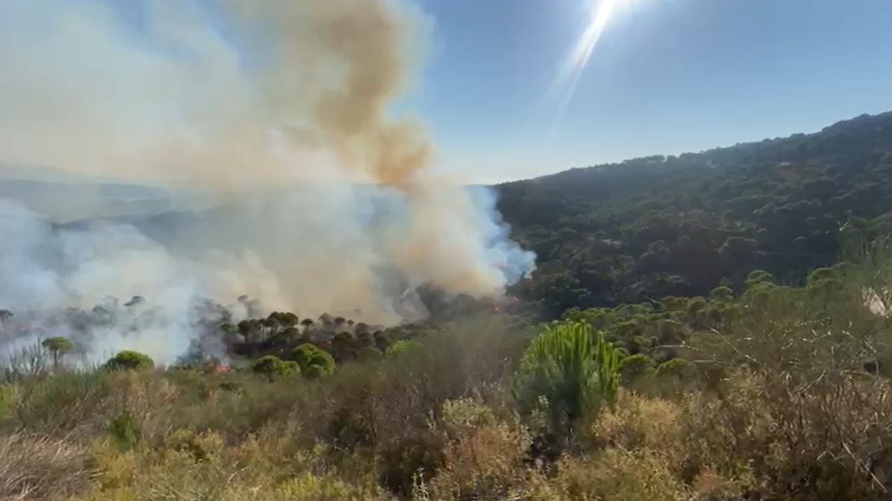 Vijon zjarri në Belishovë, dhjetëra hektarë të djegura