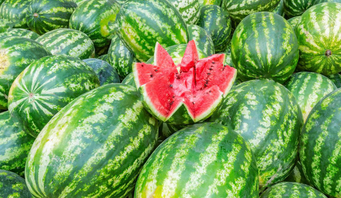 Vlerat që përfitoni gjatë konsumit të shalqirit