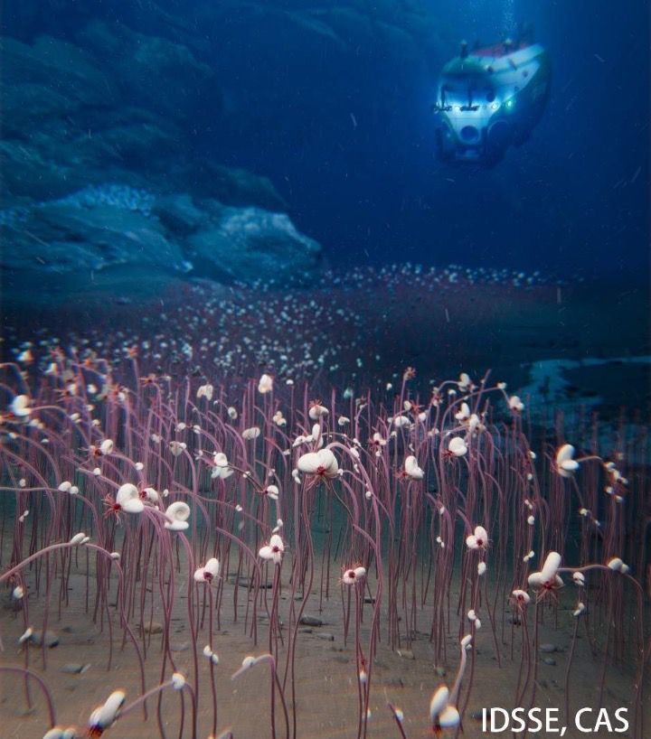 Zbulohen “oazë të gjallë” me qenie që “hanë” kimikate 10 000 m nën ujë