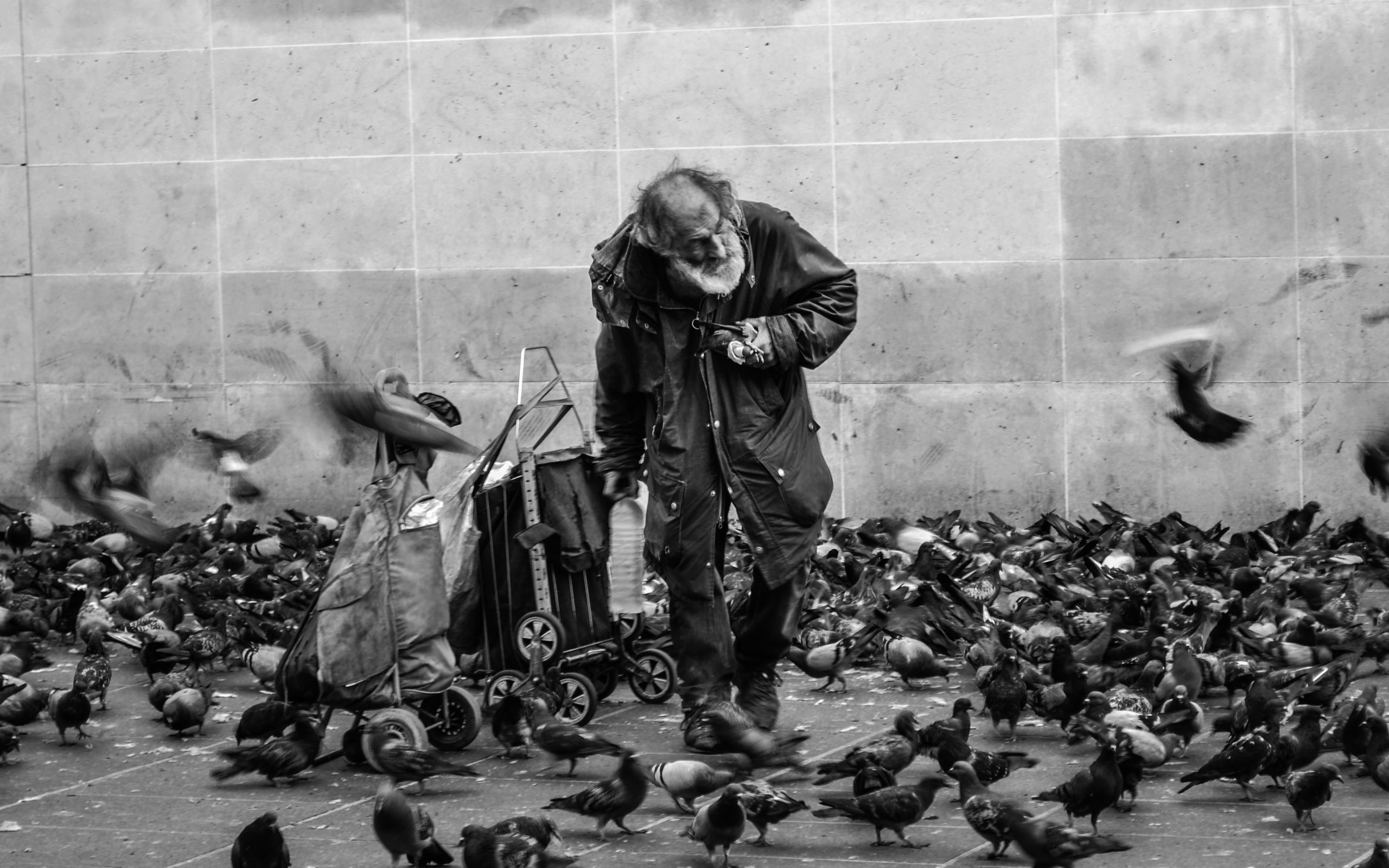 Zgjedhjet morale që ne bëjmë, nxiten nga logjika apo emocionet?