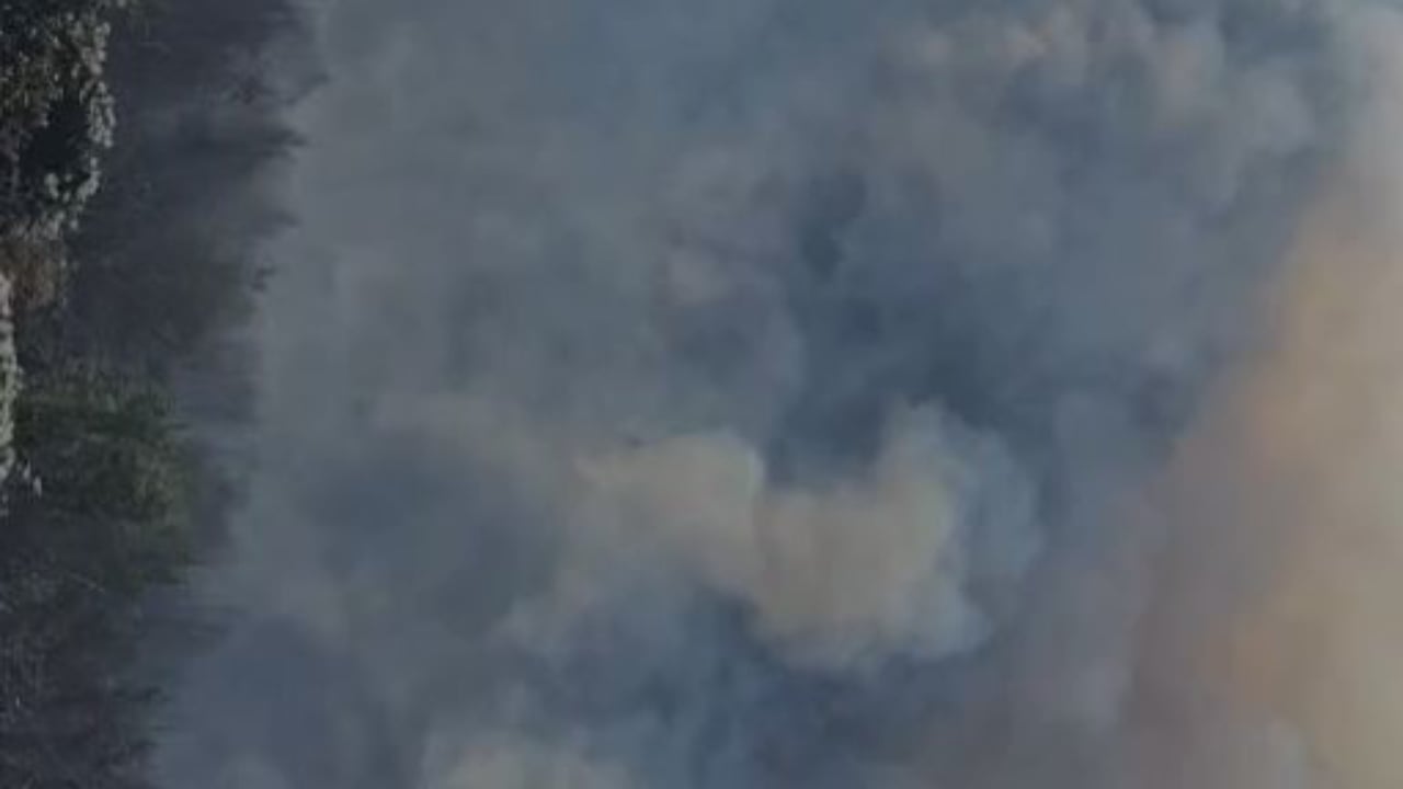 Zjarr i madh në Parkun Kombëtar të Prespës, vijon puna për izolimin e vatrës