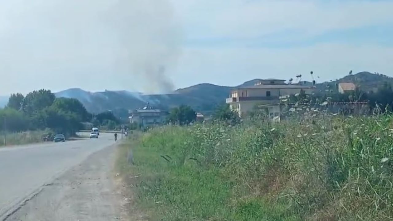 Zjarr masiv në Elbasan/ Nën flakë sipërfaqe me ullinj, nis ndërhyrja nga ajri me dy helikopterë