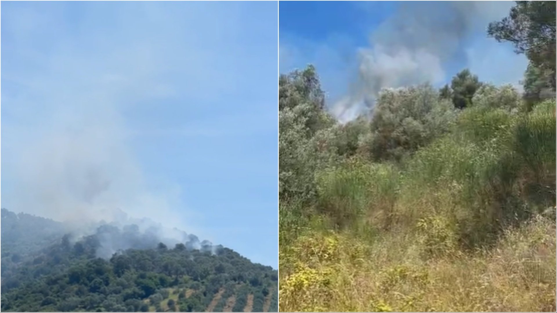 Zjarr masiv në një ullishte në Elbasan, era ndryshon drejtimin e flakëve! Ndërhyrja e vështirë për shkak të terrenit