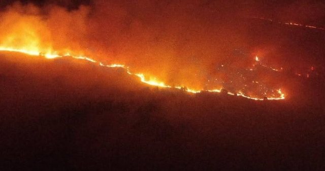 Zjarr masiv në Verrnik, flakët afër kufirit me Greqinë, dhjetëra forca në terren, pritet ndërhyrja nga shteti grek