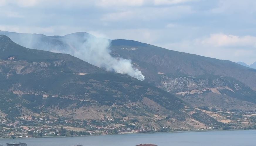 Zjarr mbi fshatrat e Pogradecit, vështirësi për të neutralizuar flakët
