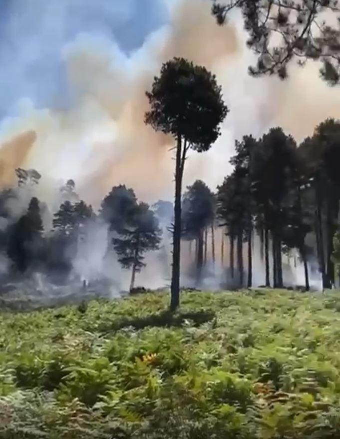 Zjarr në Dukat, rrezikohet Parku Kombëtar i Llogarasë/ Kërkohet ndërhyrje nga ajri