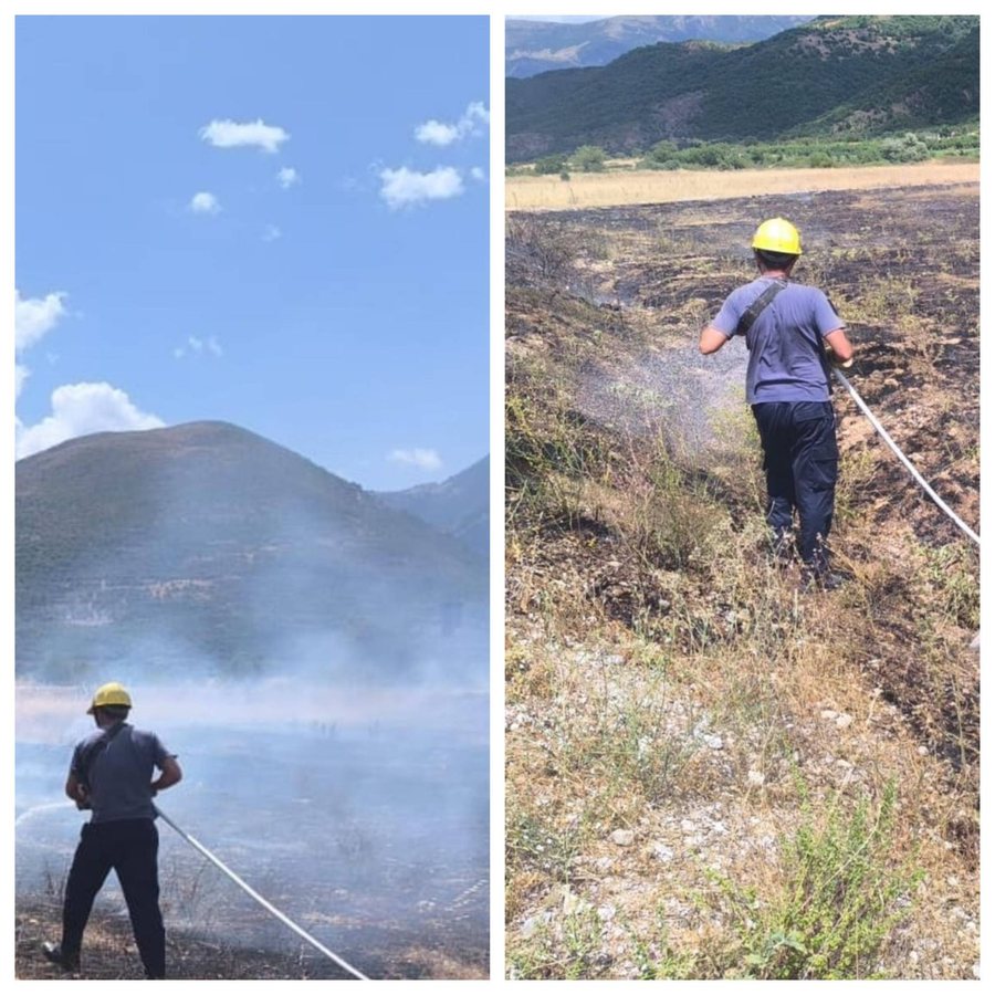 Zjarr në Kardhiq, digjen 3 dynym me bimësi të thatë, shmanget përhapja drejt banesave