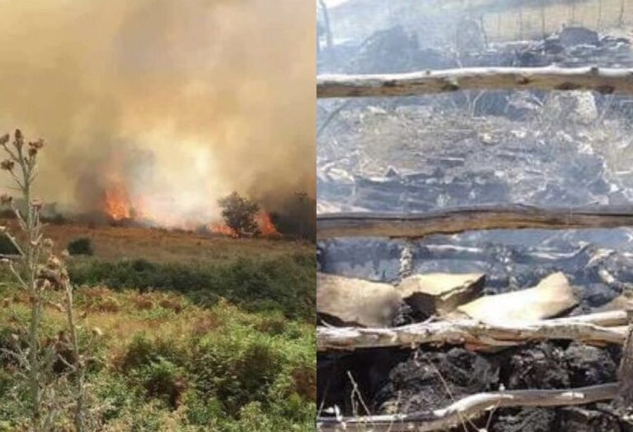 Zjarr në një stallë në Kallm të Madh – Digjen 100 bagëti dhe 2500 dengje bar