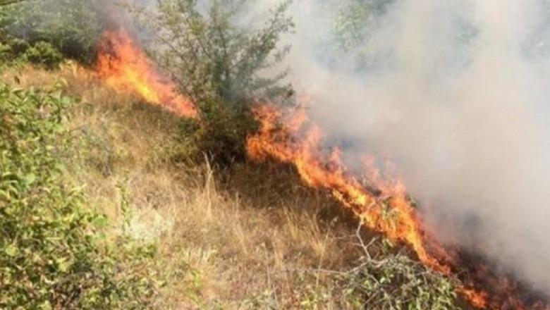 Zjarret në vend/ Emergjencat Civile: Deri në orën 16:00 janë raportuar 18 vatra zjarri, 8 prej tyre janë ende aktive