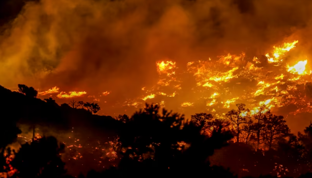 Zjarret, PD: Rama me pushime, paratë e shtetit i bën shpenzime luksi