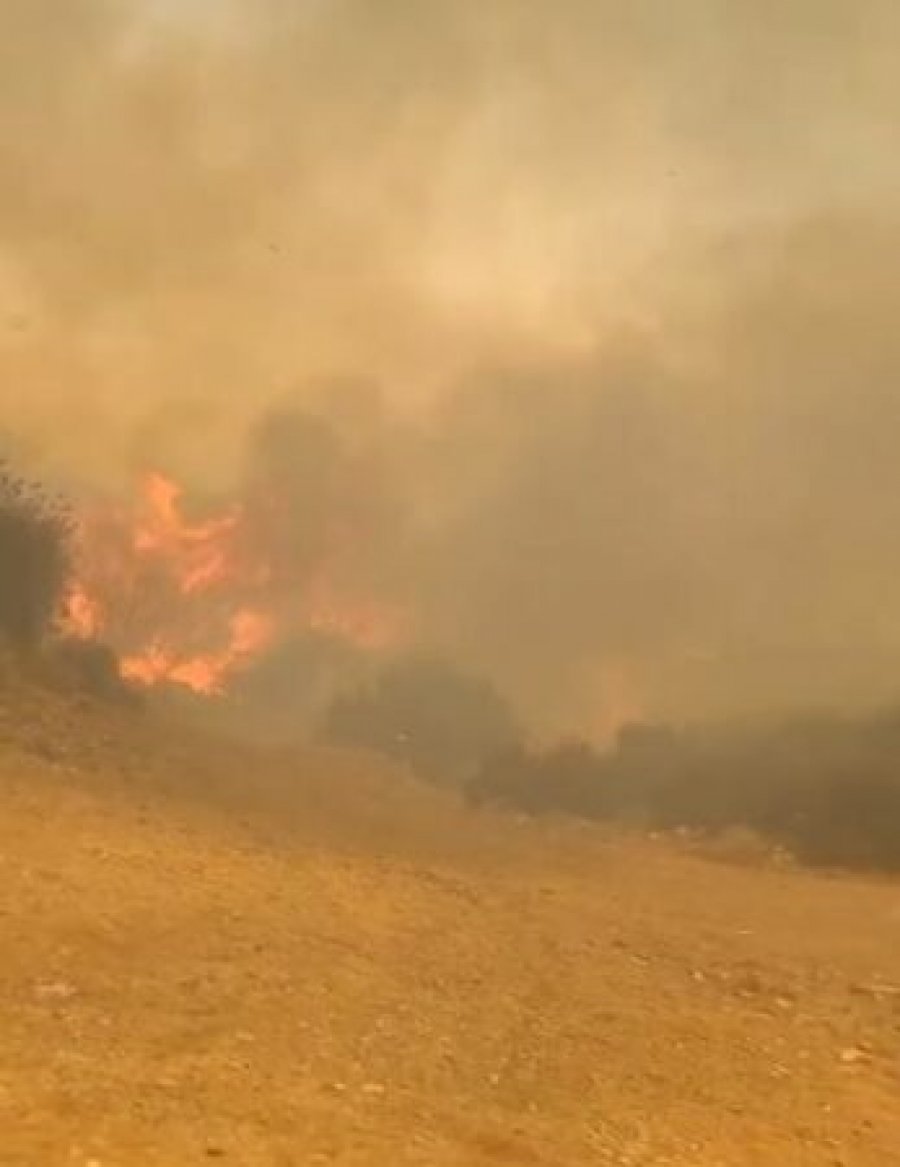 Zjarri me përmasa të mëdha aktivizohet në zonën e Konispolit, rrezikohen banesat