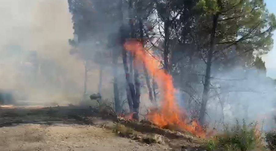 Zjarri në Senicë, digjen disa banesa të fshatit, flakët nuk kursejnë as Kishën e Shën Dhimitrit