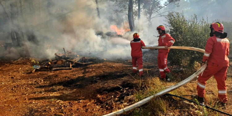 Zjarri vijon të jetë aktiv prej pesë ditësh, flakët po i afrohen Parkut të Llogorasë!