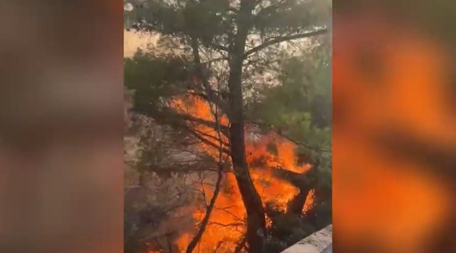 20 efektivë dhe 2 helikopterë në betejë me zjarrin në Gramsh, reagon kryebashkiaku: Flakët rrezikojnë banesat