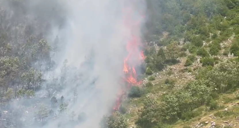 21 mln euro për të mbrojtur 61 bashki nga flakët! Instituti: Fondi nuk mjafton