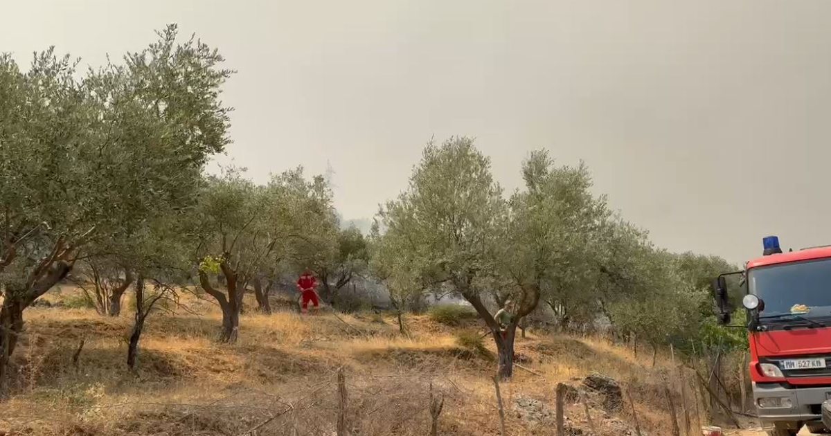 50 mijë hektarë tokë e djegur nga zjarret në Shqipëri në gjysmën e parë të vitit