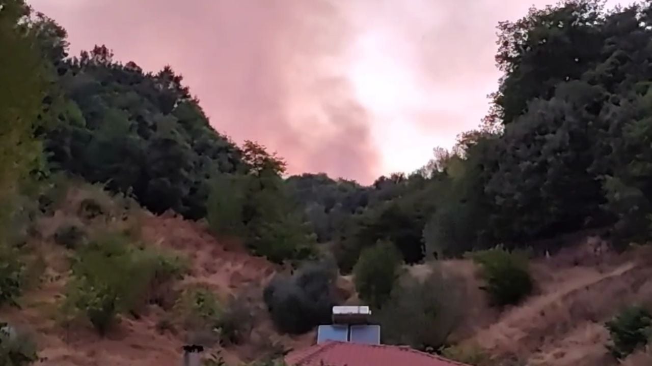 500 turistë u evakuuan/ Beteja me flakët, vihet nën kontroll zjarri te Syri i Kaltër