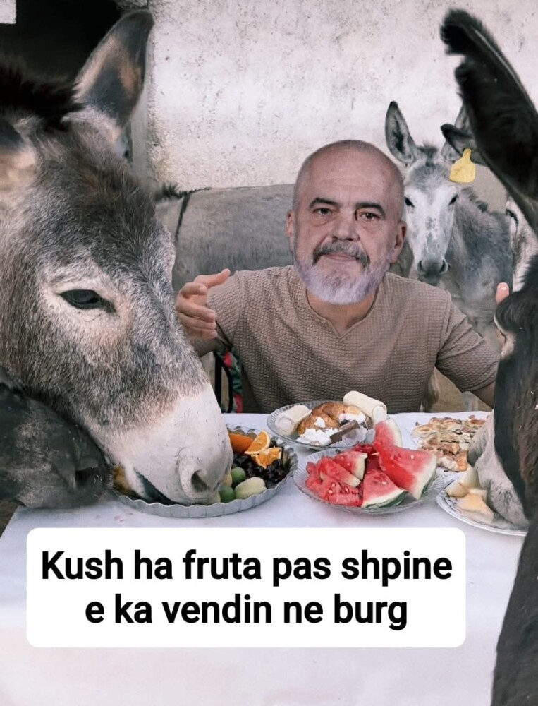 Afera e ‘Eco Park’, ja manovrat e Edi Ramës për t’ja dhënë tenderin shoferit të Klodian Zotosom