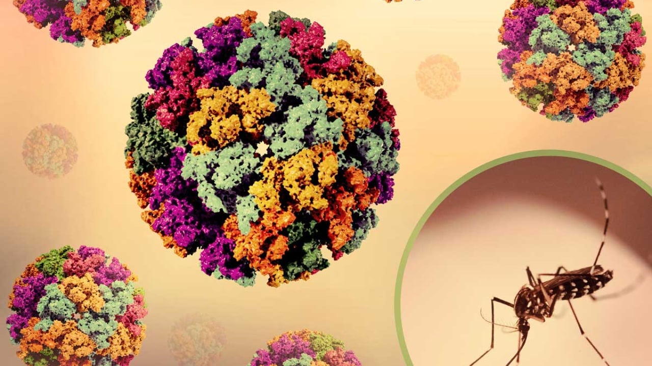 Alarm në Kinë! Mbi 7,000 të infektuar me virusin ‘chikungunya’, pacientët në spital nën masa të rrepta