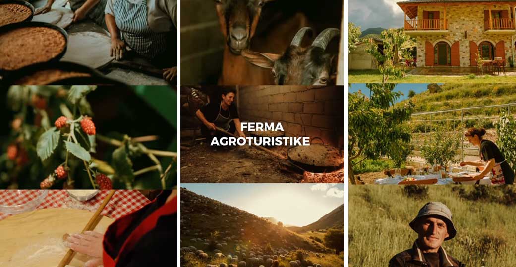 Anila Denaj: Zbulo Shqipërinë si një mozaik i gjallë ngjyrash, shijesh dhe traditash, përmes fermave agroturistike
