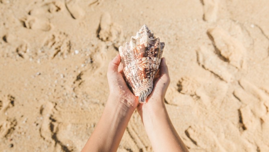 Apnea e gjumit, si fryrja në një guaskë mund ta përmirësojë frymëmarrjen