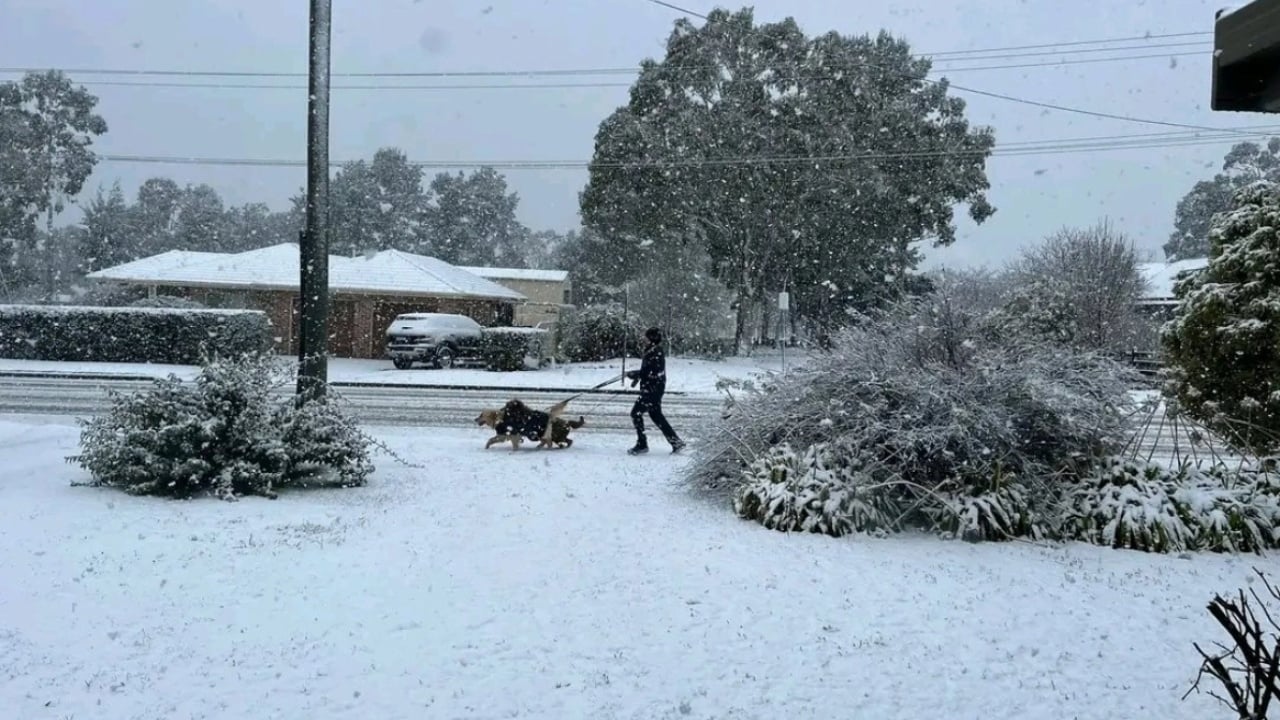 Australia përfshihet nga reshjet e dëborës, moti i keq shkakton bllokim të automjeteve dhe ndërprerje të energjisë elektrike