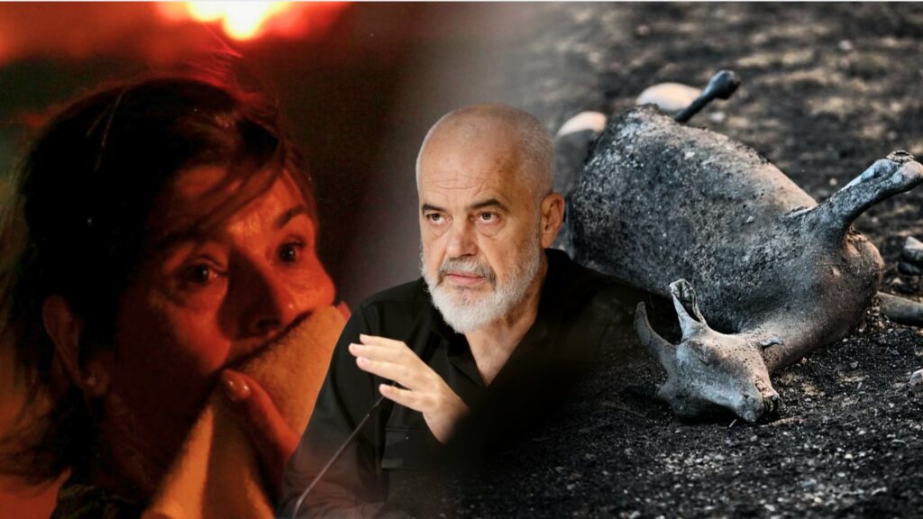 Banesa dhe krerë të humbur nga zjarret? Rama garanton rifinancim një më një!