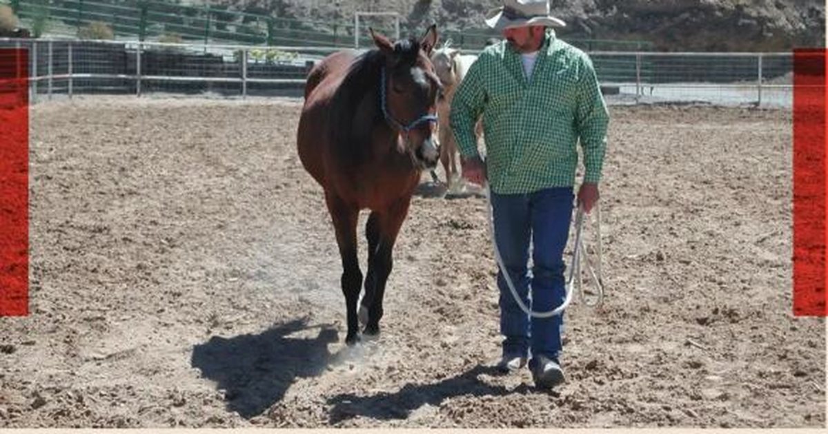 Body brokers: biznesi i errët i pjesëve të trupit po lulëzon në SHBA