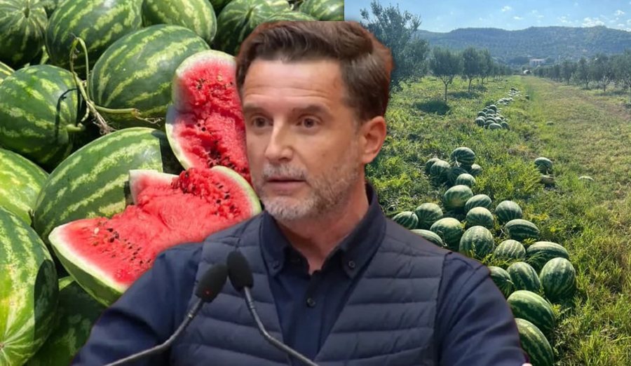 Braçe i lutet qytetarëve dhe biznesmenëve: Blini sa më shumë shalqinj, nuk ju kushton asgjë