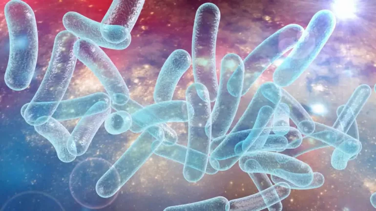 Çfarë është sëmundja e Legjionarëve? Detajet kryesore nga shpërthimi i fundit në New York City