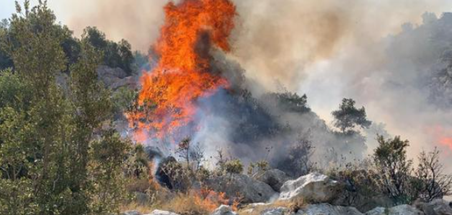 Dëmet nga zjarret, Kryeministri Rama: Do kompensohen, hapat që do ndiqen