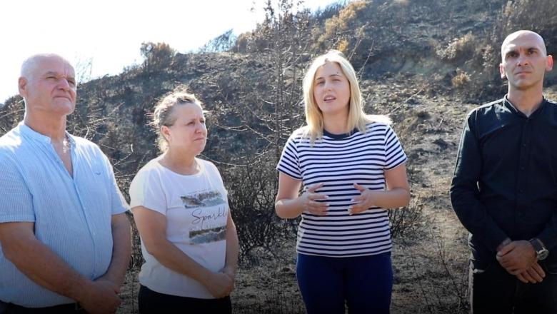 Dëmet nga zjarret, Zhupa nga Delvina: Qeveria të dëmshpërblejë banorët