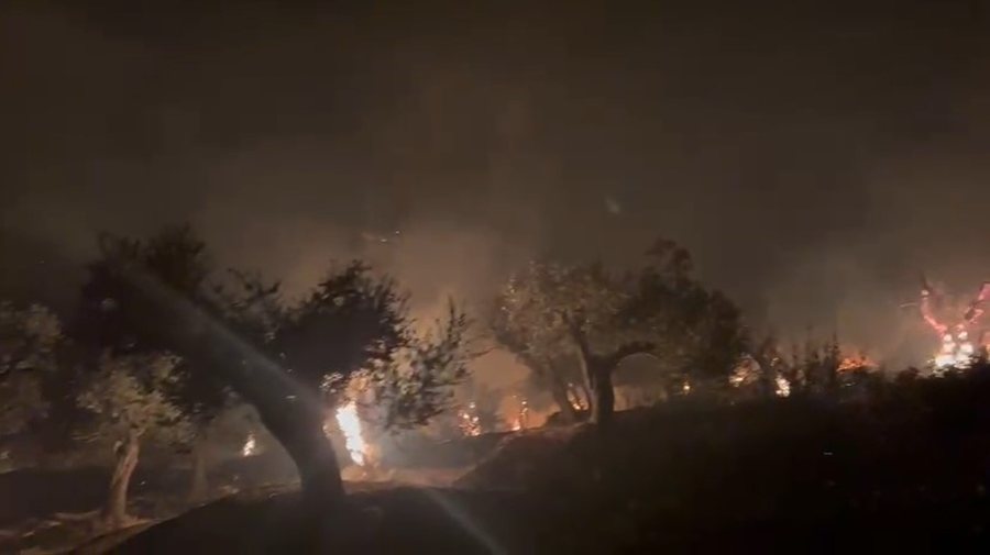 Dogji ullinjtë e fqinjit pas një konflikti, arrestohet zjarrvënësi në Drashovicë