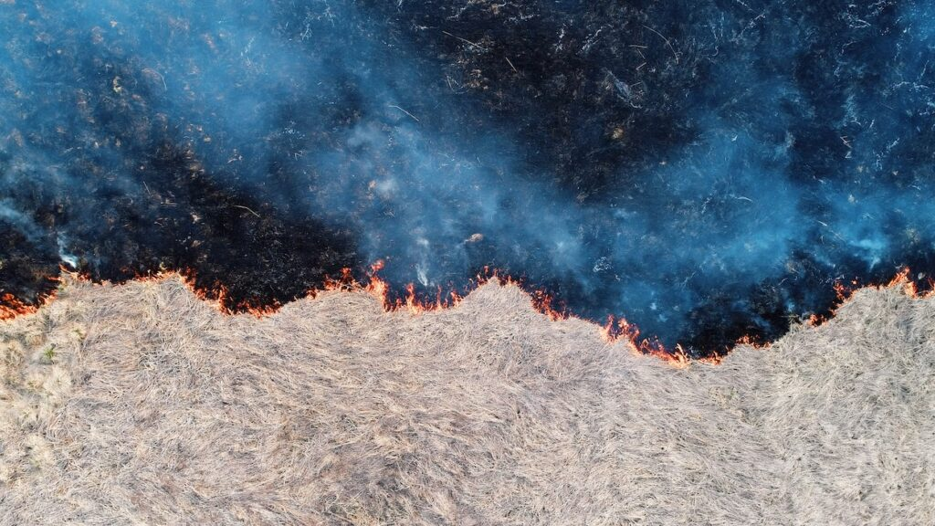 Dyshohet për 1100 viktima në Spanjë, sezoni më i “zi” prej zjarreve në histori