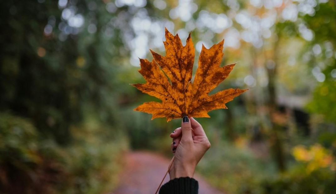 E nisin vjeshtën mbarë! Këto janë 4 shenjat më me fat të horoskopit për muajin shtator, universi është në anën tuaj