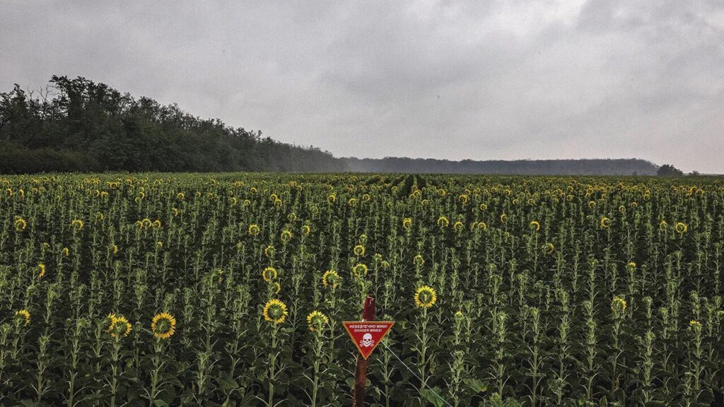 Ëndrra të shtypura nga mizoria: Jeta në frikë, përgjime e tortura barbare mes ferrit rus