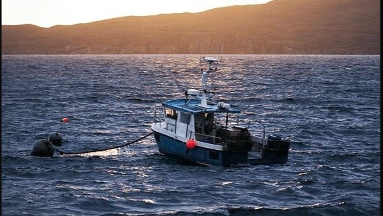 Erë e fortë dhe dallgë, pezullohet lundrimi për mjetet e vogla detare në Vlorë