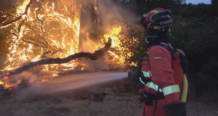 Europa në luftë me zjarret, vihen nën kontroll flakët pranë Athinës, por evakuimet vijojnë