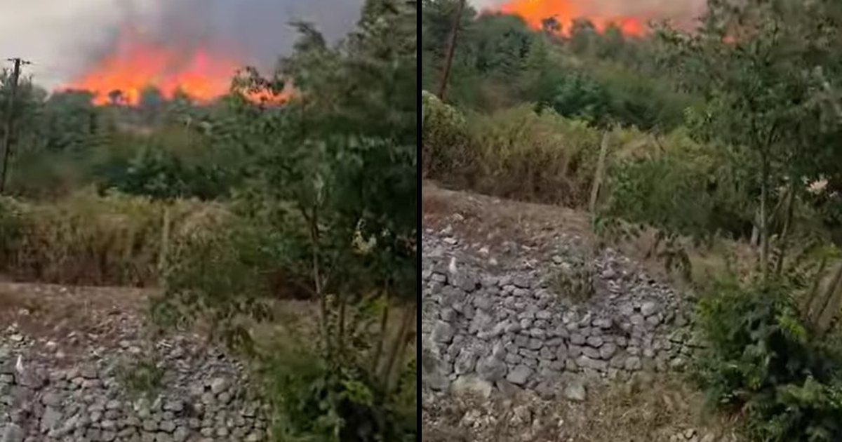 Flakë masive në Tepelenë, rrezikohet fshati i Hormovës! Nis evakuimi i banorëve me urgjencë