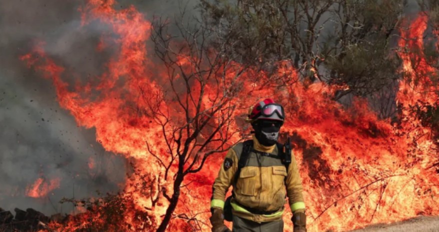 Flakët në vend, Qeveria shpërblen personelin në vijën e parë të zjarreve