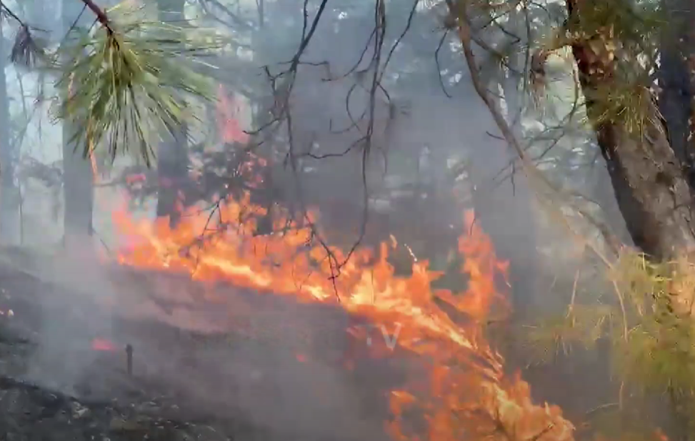 Flakët përhapen në pyjet e fshatit Kryezi